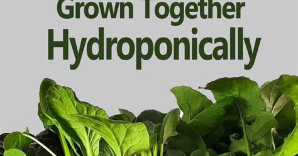 What Plants Cannot Be Grown Hydroponically