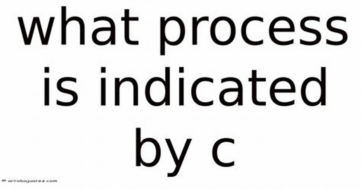 What Process Is Indicated by C?