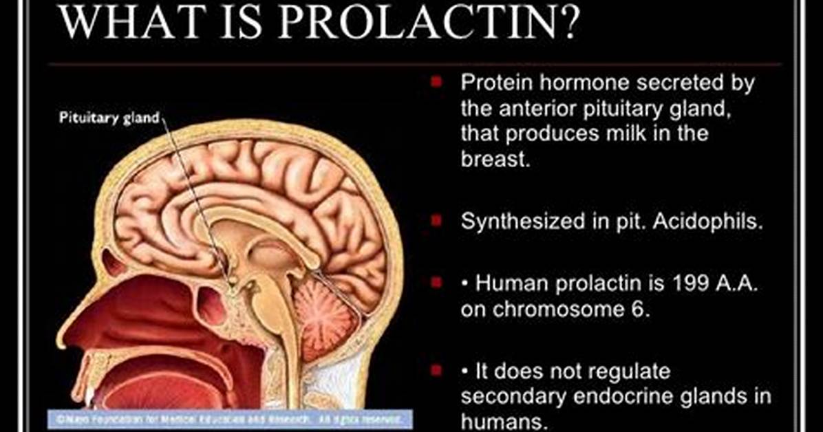 What Produced Prolactin