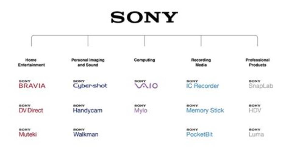 What Products Does Sony Make