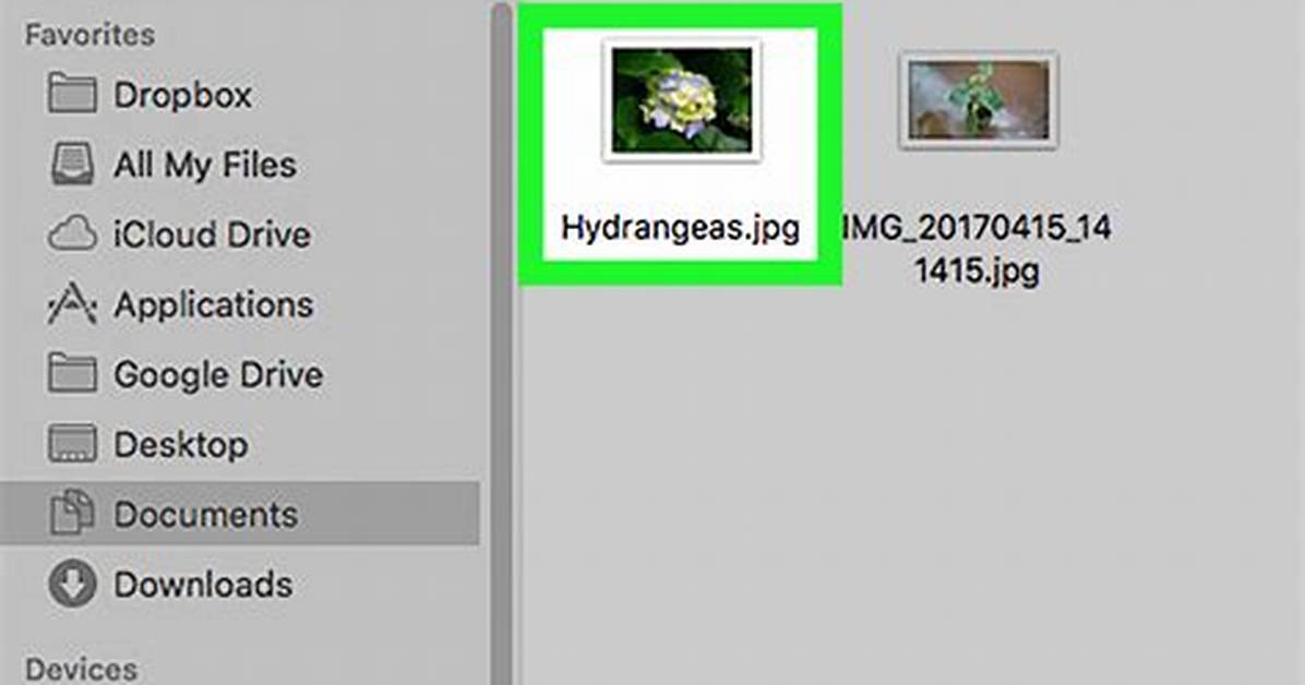 What Program Opens Jpg Files Windows 10?