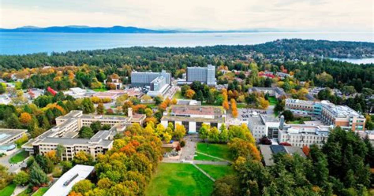 What Programs Is Uvic Known for?