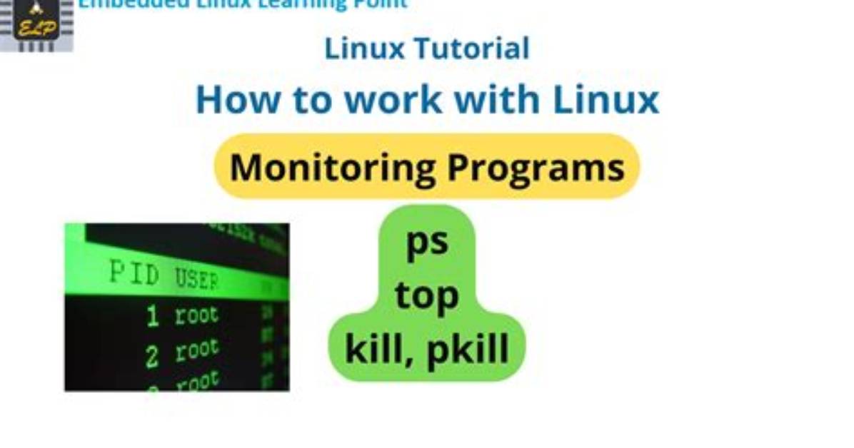 What Programs Work on Linux?