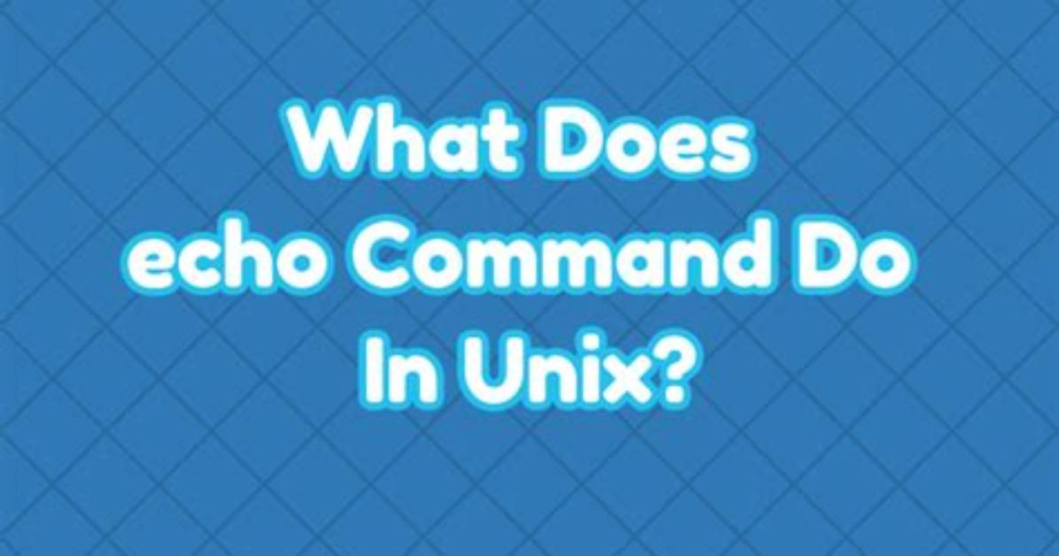 What Purpose Does the Unix Command Echo Server?