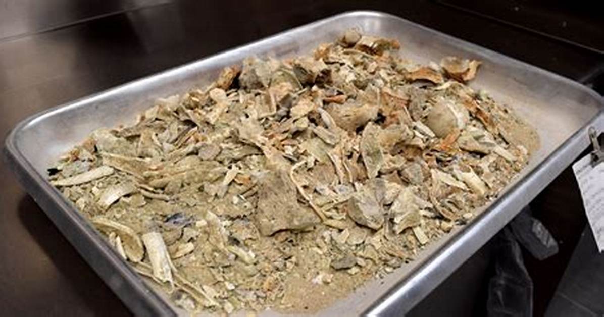 What Remains After Cremation?