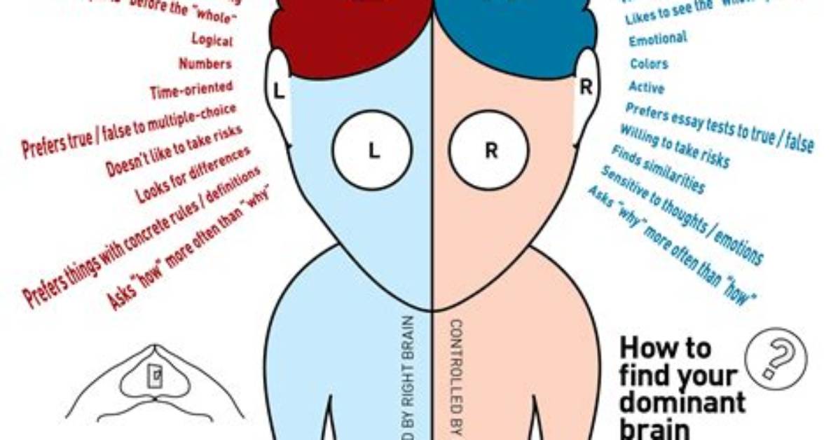 What Right Brained Means?