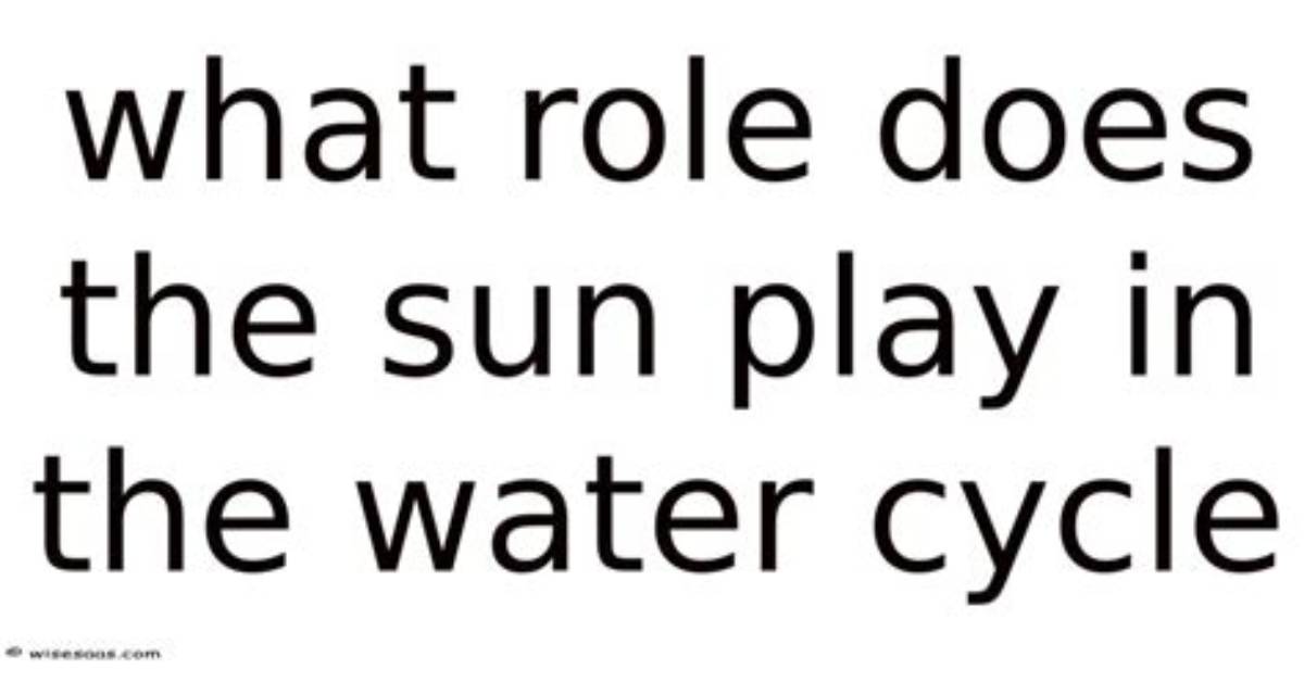 What Role Does the Sun Play in Our Solar System