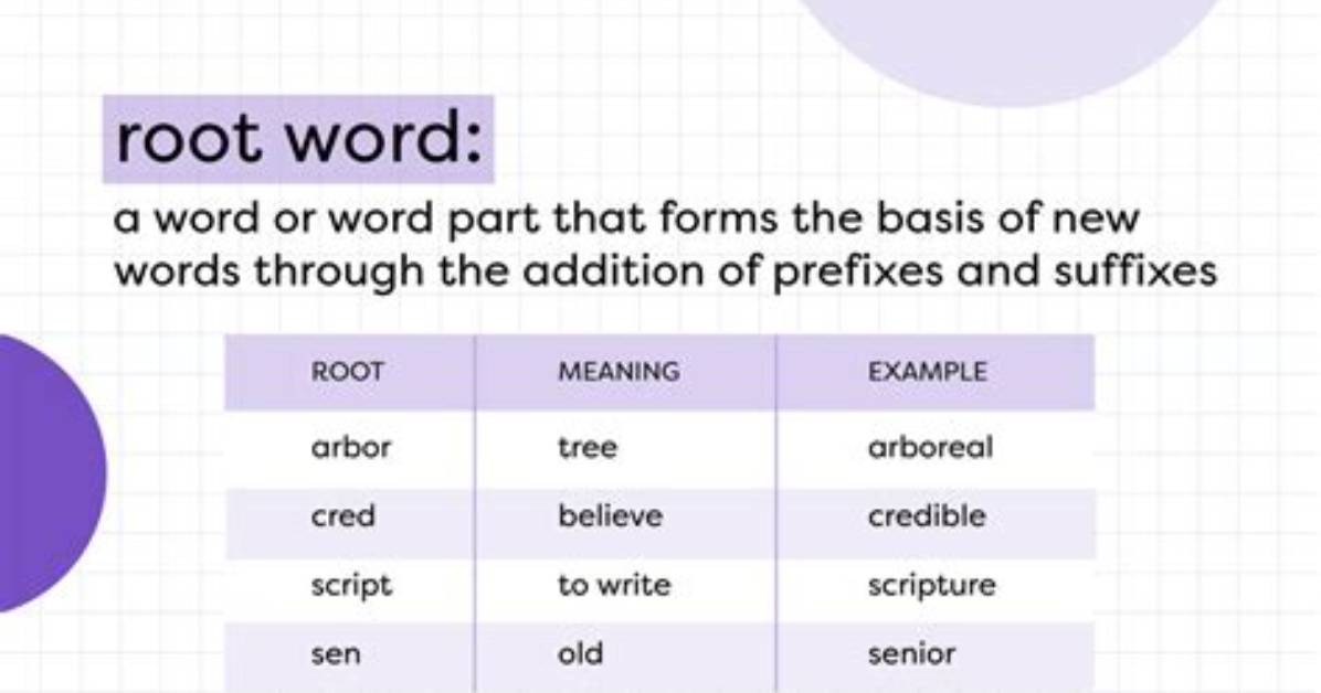 What Root Means Go