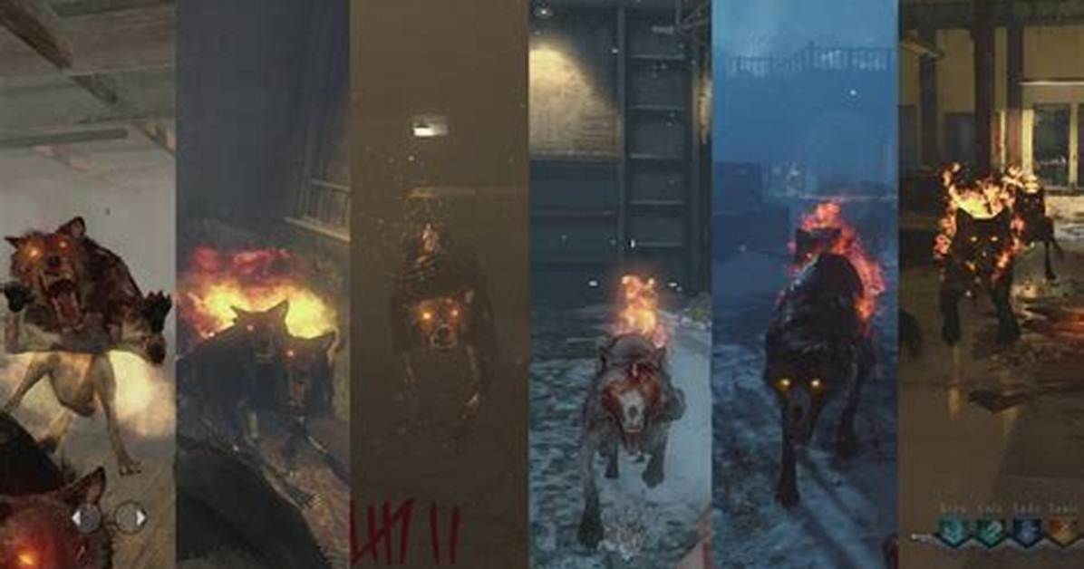 What Round Do Hellhounds Come