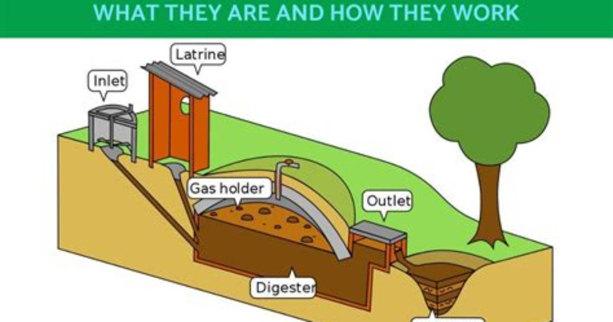 What's a Bio Digester?