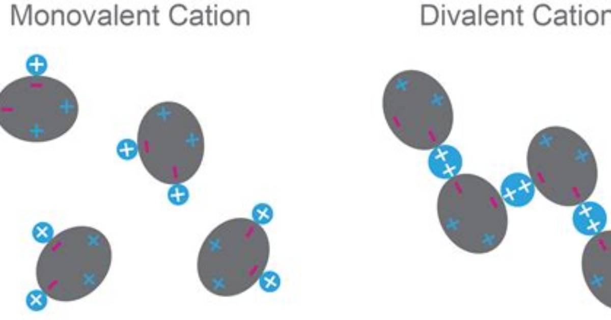 What's a Divalent Cations?