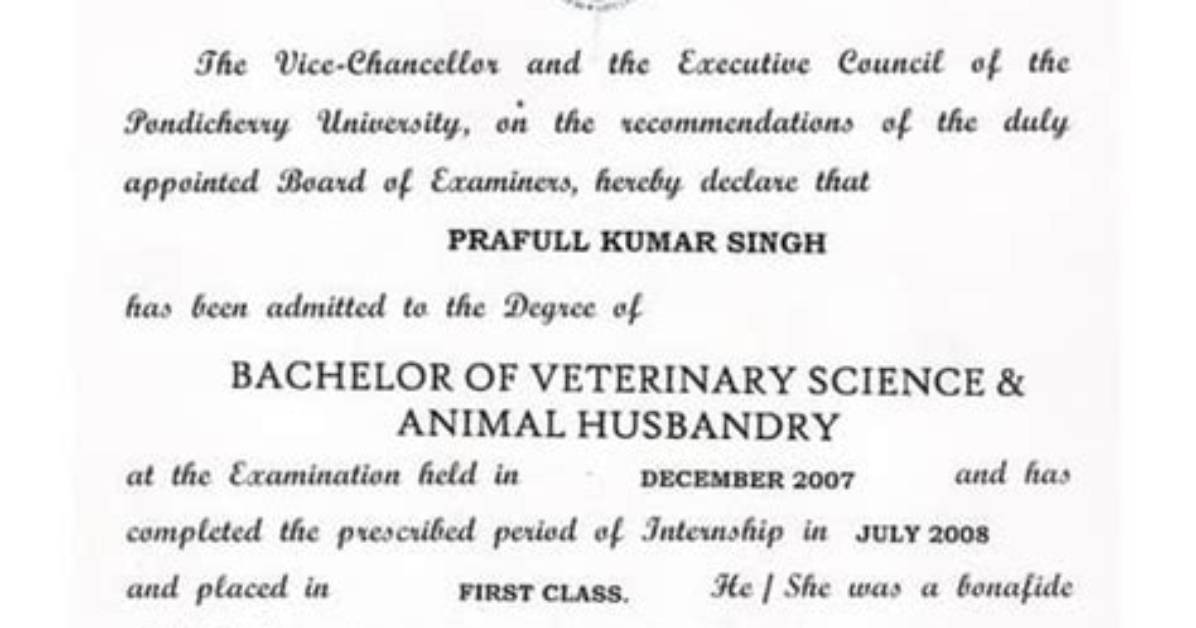 What's a Dvm Degree?