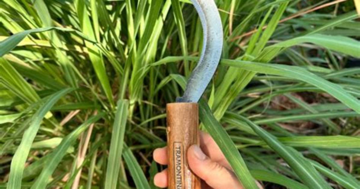 What's a Grass Hook?