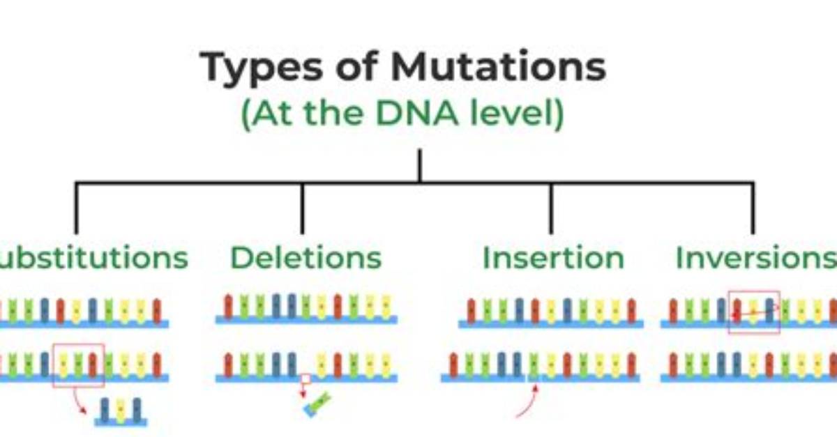 What's a Helpful Mutation?