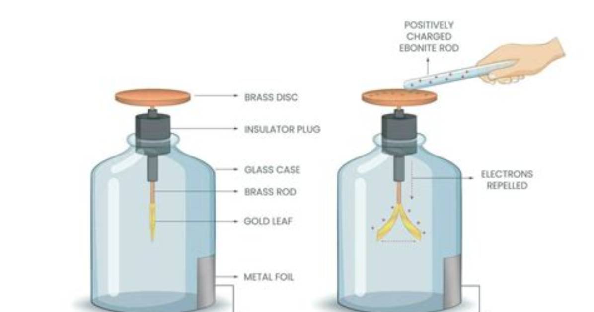 What's a Metal Leaf Electroscope?