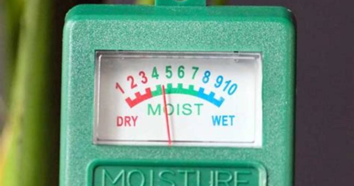 What's a Moisture Meter?