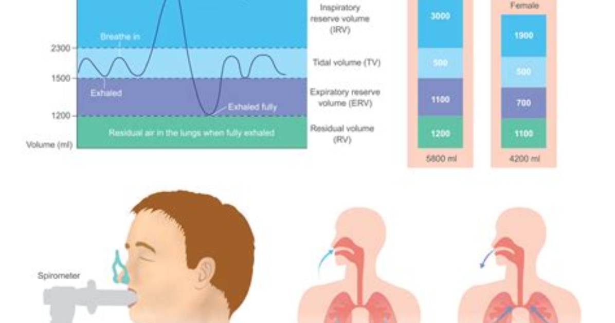 What's a Pulmonary Function Test?