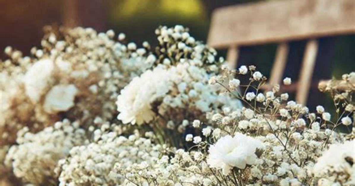 What's a Rustic Wedding