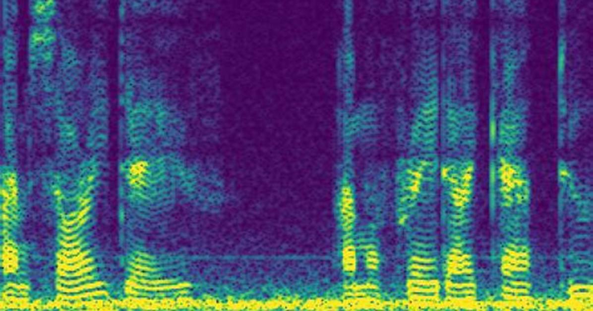 What's a Sound Spectrogram?