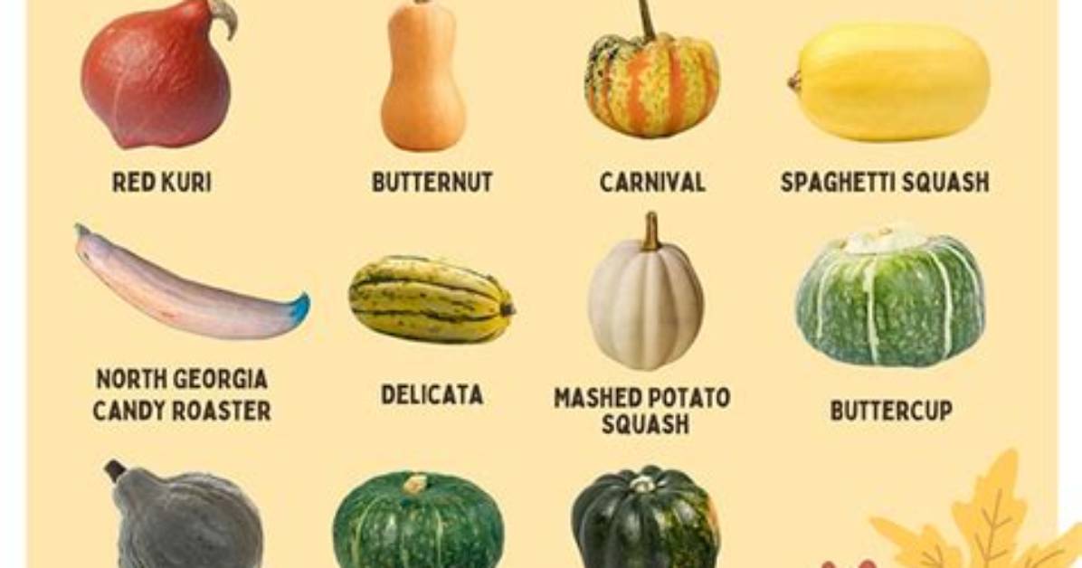 What's a Winter Squashes?