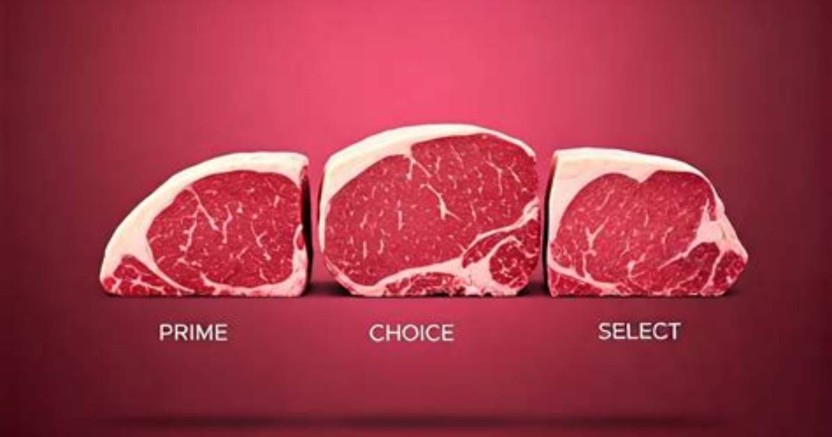 What's Better Choice or Select?