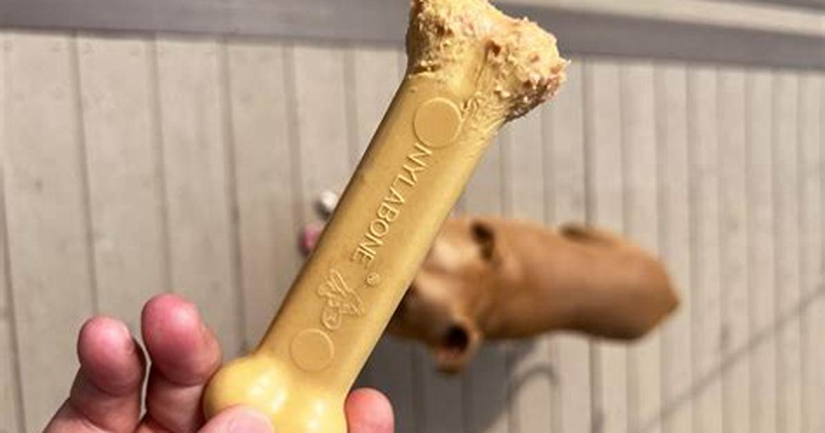 What's Better Than Nylabone?