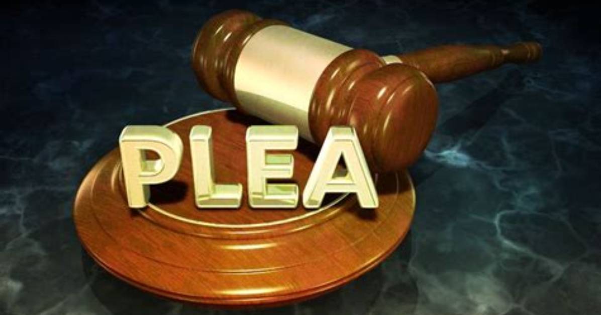 What's Does Pleas Mean?