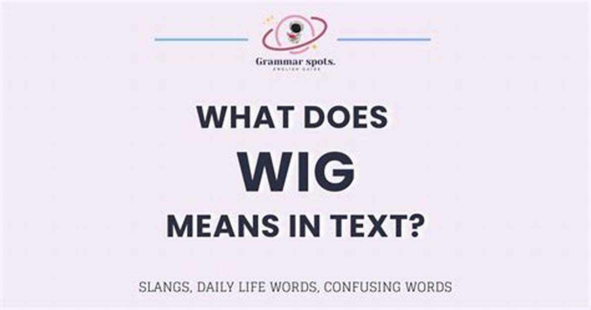 What's Does Wig Mean?