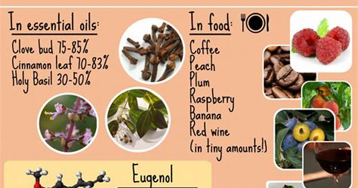 What's Eugenol Used for?