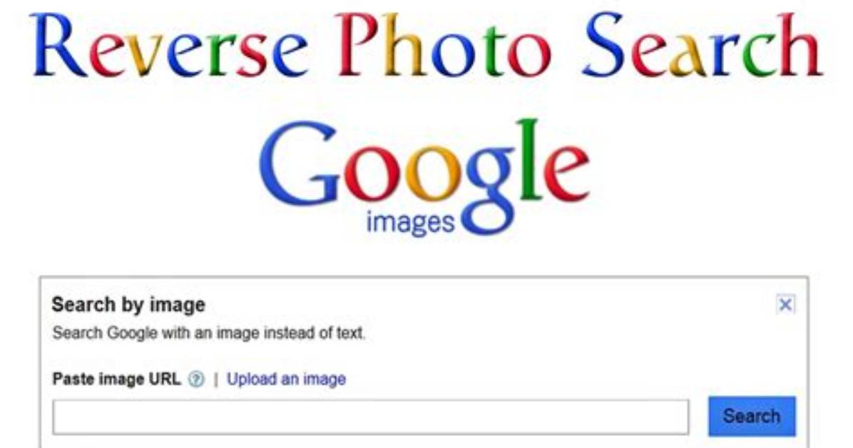 What's Reverse Image Search?