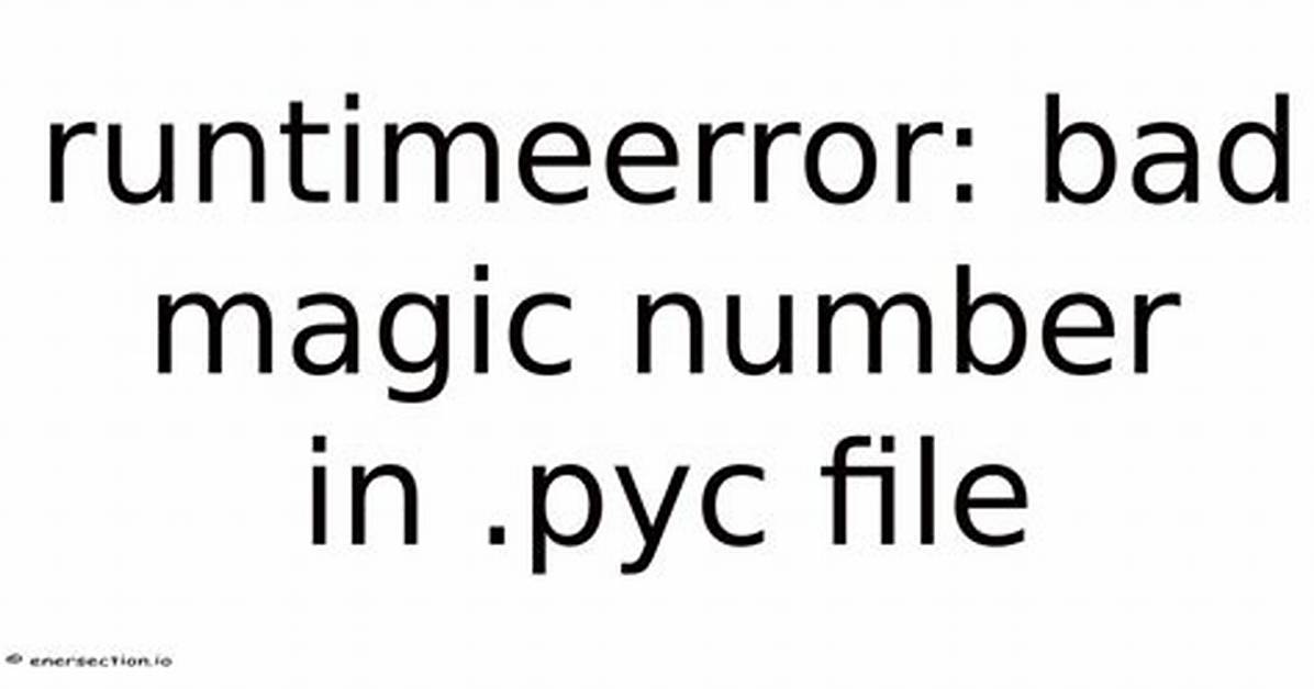 What's the Bad Magic Number Error?