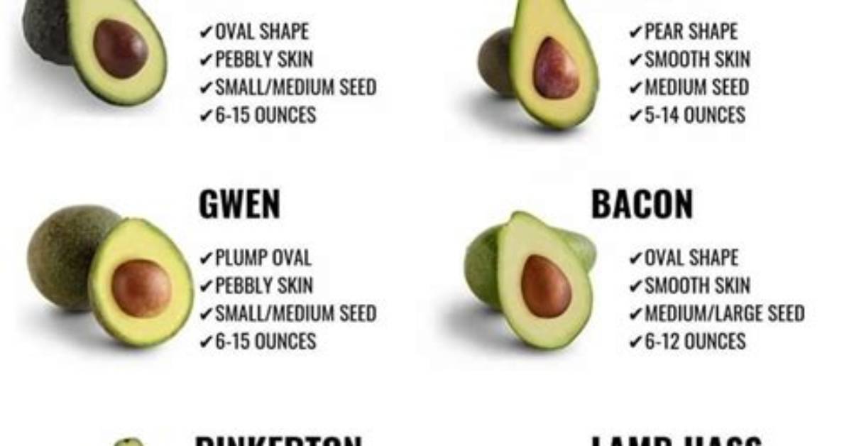 What's the Difference Between Avocados?