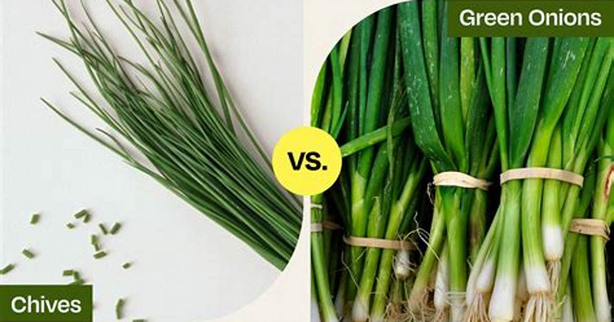 What's the Difference Between Chives and Onions?