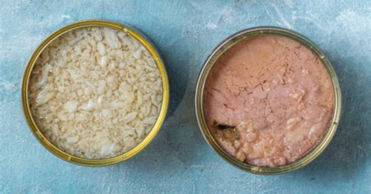 What's the Difference Between Chunk and Solid Tuna?