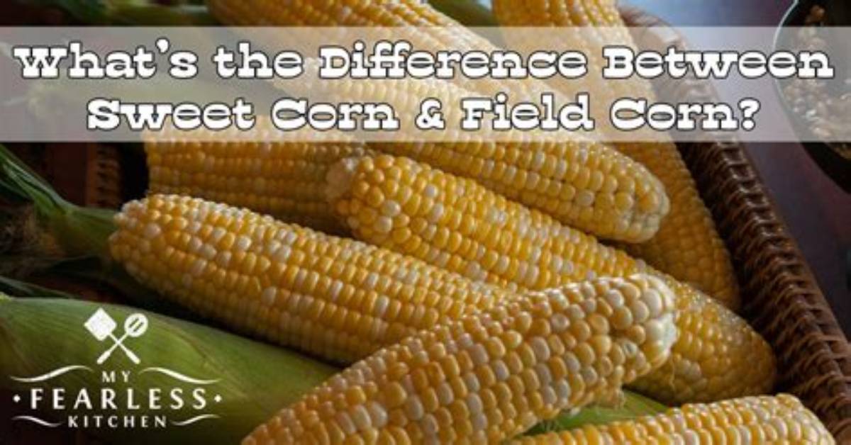 What's the Difference Between Corn and Flour Tortillas?