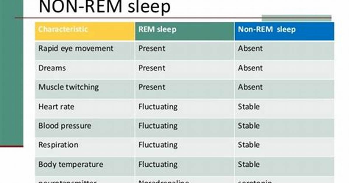 What's the Difference Between Nrem and Rem Sleep?