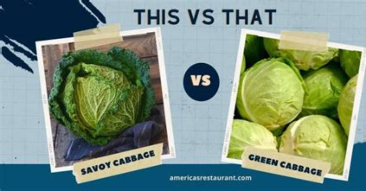 What's the Difference Between Savoy Cabbage and Napa Cabbage