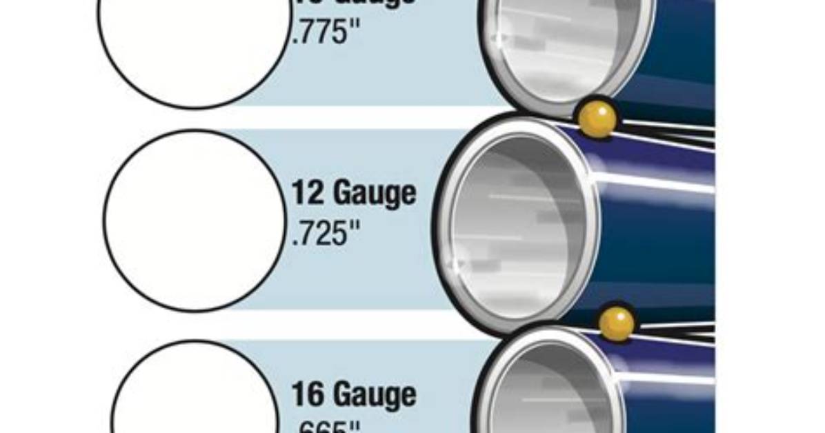 What's the Difference Between Shotgun Gauges?