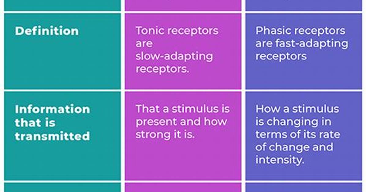 What's the Difference Between Tonic and Seltzer Water