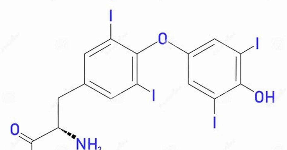 What's Thyroxine Used for?