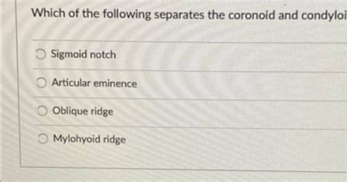 What Separates the Coronoid and Condyloid Processes?