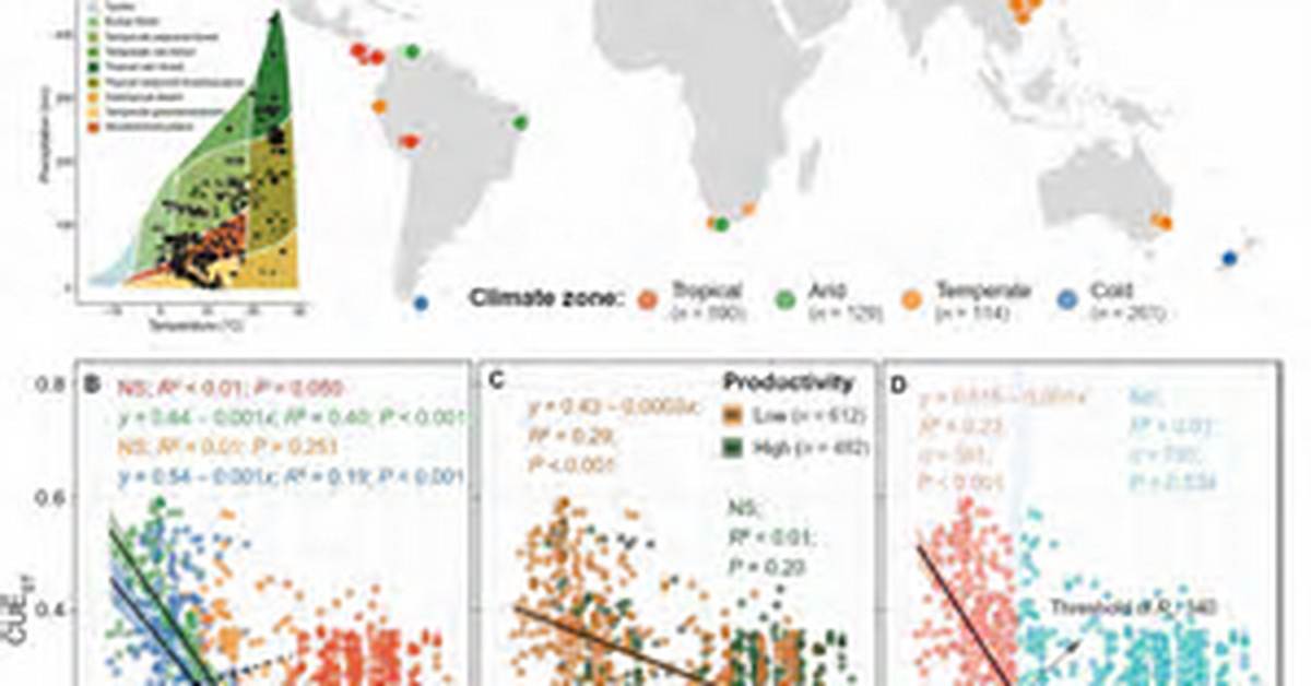 What Shapes an Ecosystem - Lisbd-Net. Com