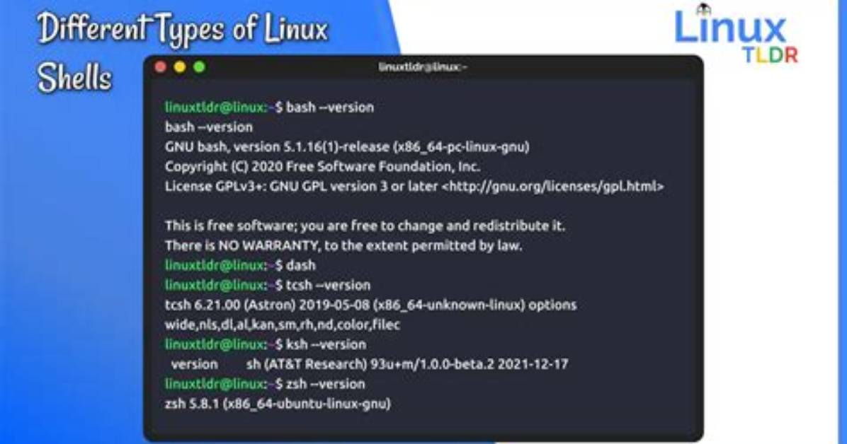 What Shells Are Available in Linux?