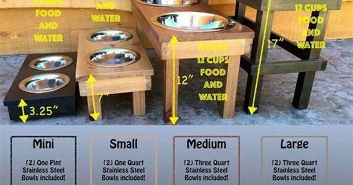 What Size Elevated Dog Feeder Should I Get