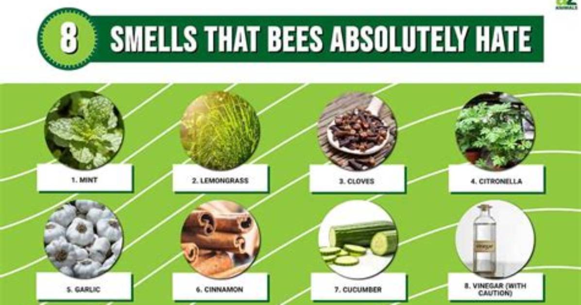 What Smells Do Bees Hate