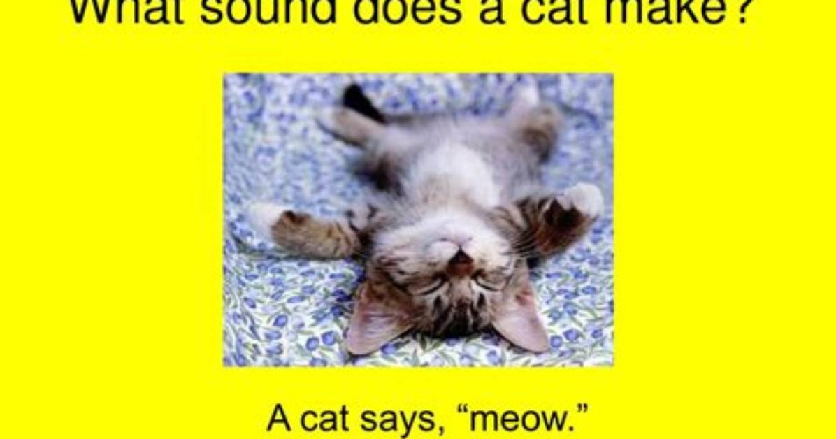 What Sound Does a Cat Make When Sleeping?