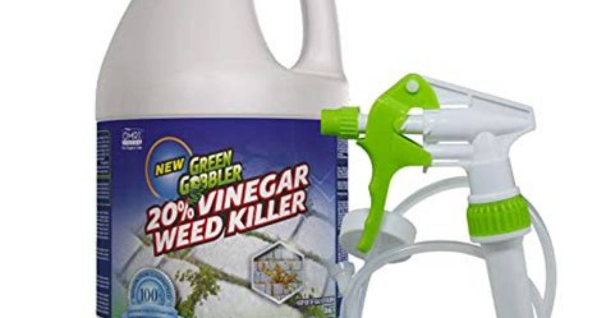 What Spray Kills Periwinkle