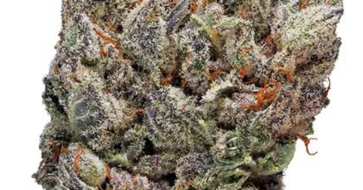 What Strain Is Deadhead Og