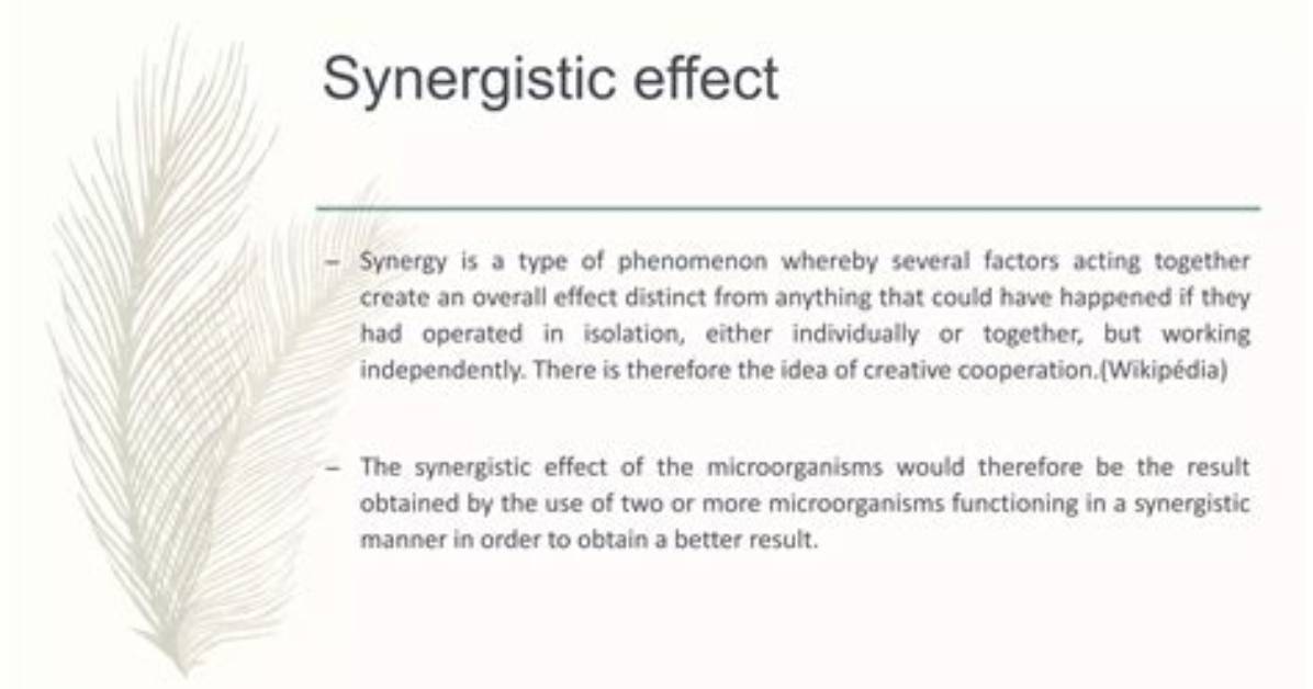 What Synergistic Effect Mean?
