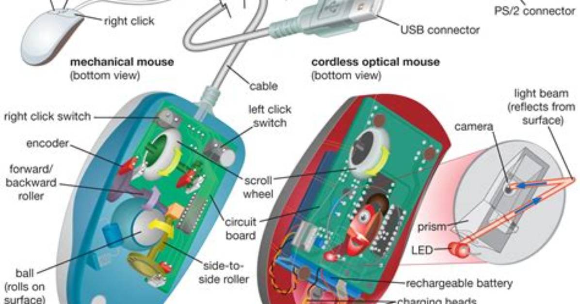What Technology Does a Wireless Mouse Use?